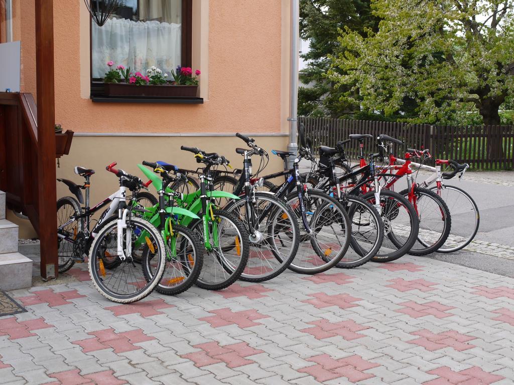 Familien-Ferienwohnung Haustein Konigswalde Стая снимка