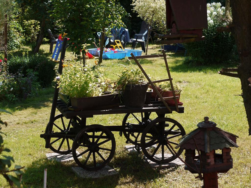 Familien-Ferienwohnung Haustein Konigswalde Екстериор снимка